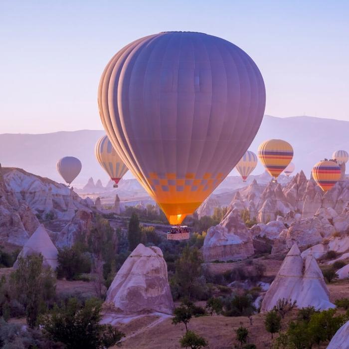 Establishing your attitude to risk