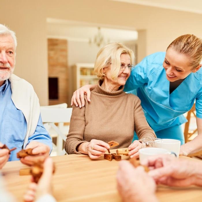 Commonwealth Home Support Program